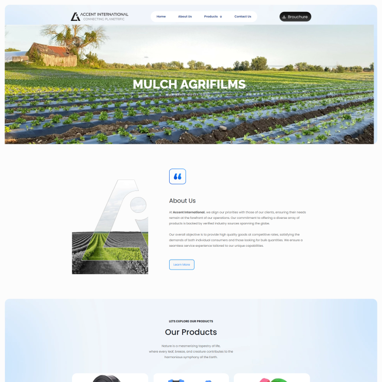 Accent International